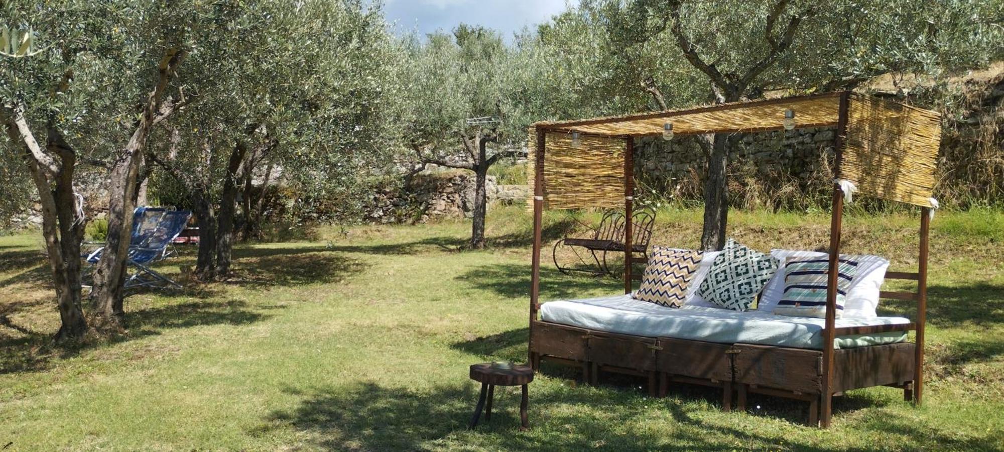 코르토나 La Casa Tra Gli Ulivi B&B 외부 사진